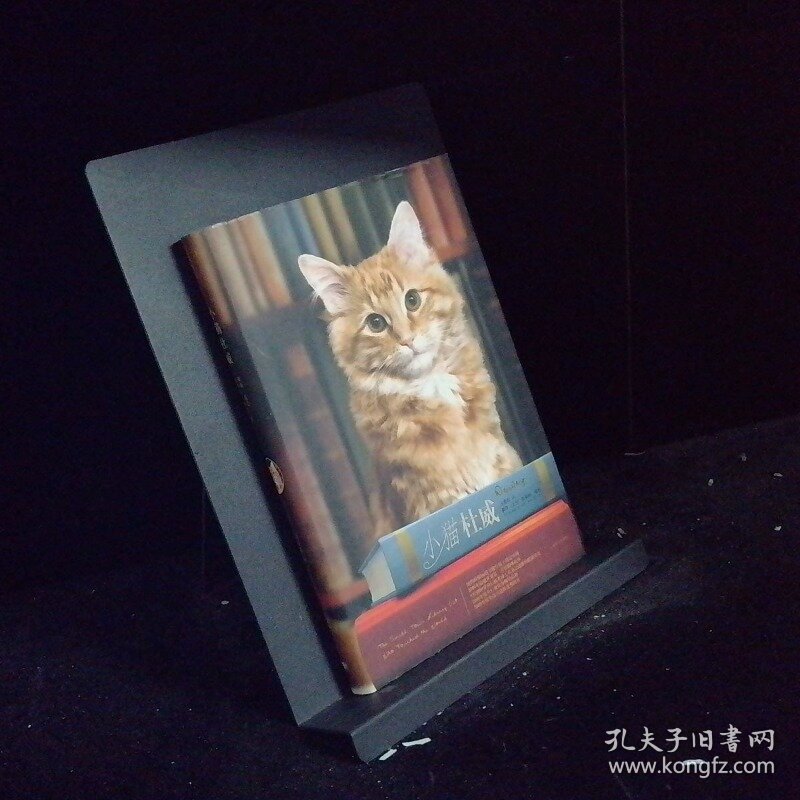 小猫杜威
