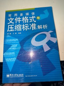 常用多媒体文件格式与压缩标准解析