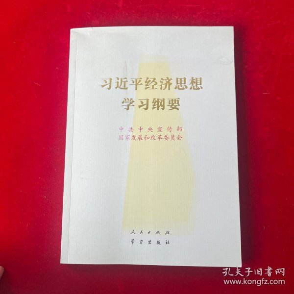 习近平经济思想学习纲要（16开）