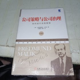 欧洲管理经典·公司策略与公司治理：如何进行自我管理（珍藏版）