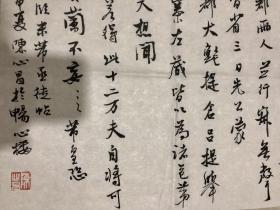 陈心昌，1947年5月生，浙江省磐安县人。浙江省书法家协会会员、金华市书法家协会常务理事、磐安县书法协会主席