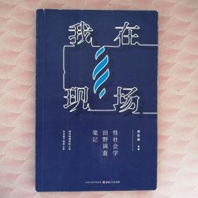 我在现场：性社会学田野调查笔记