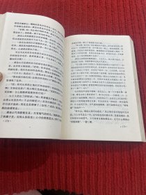 黑玫瑰：新时期争鸣文学丛书