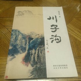 川子沟（作者雷焕性签赠本）