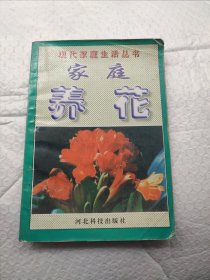 家庭养花