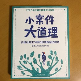 小案件大道理——弘扬社会主义核心价值观普法绘本（膜在全新）