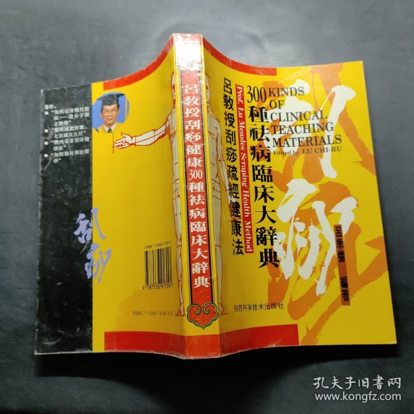 吕教授刮痧疏经健康法——300种祛病临床大辞典