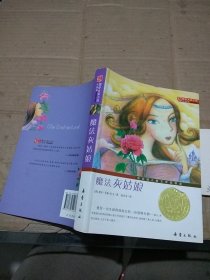 魔法灰姑娘