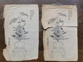 大正时期  插花作品  家元专启