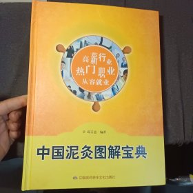 中国泥久图解宝典 精装本