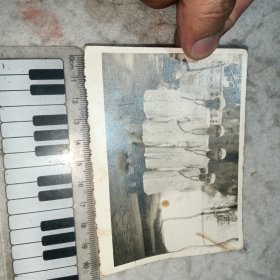 老照片208——60年代四位男医生合影照片
