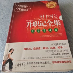 杜拉拉2：华年似水：《杜拉拉升职记》第二部