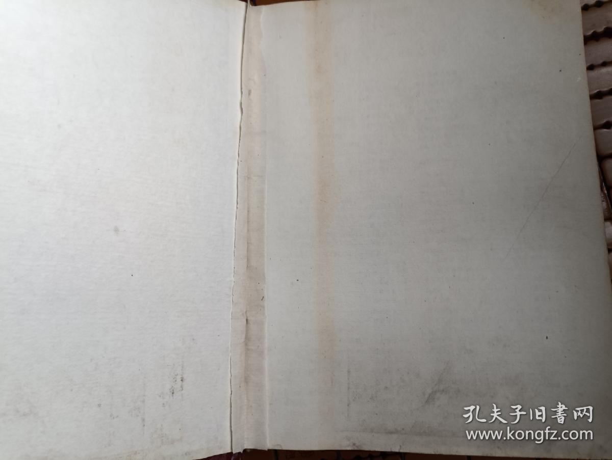 大众花卉1985年合订本