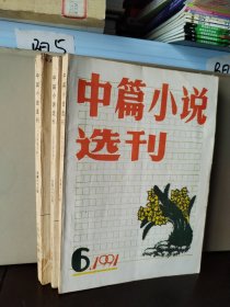 中篇小说选刊 1991年第6期、1992年第3、6期（3本合售）