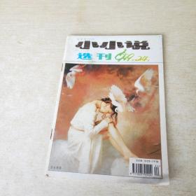 小小说选刊  1999 24