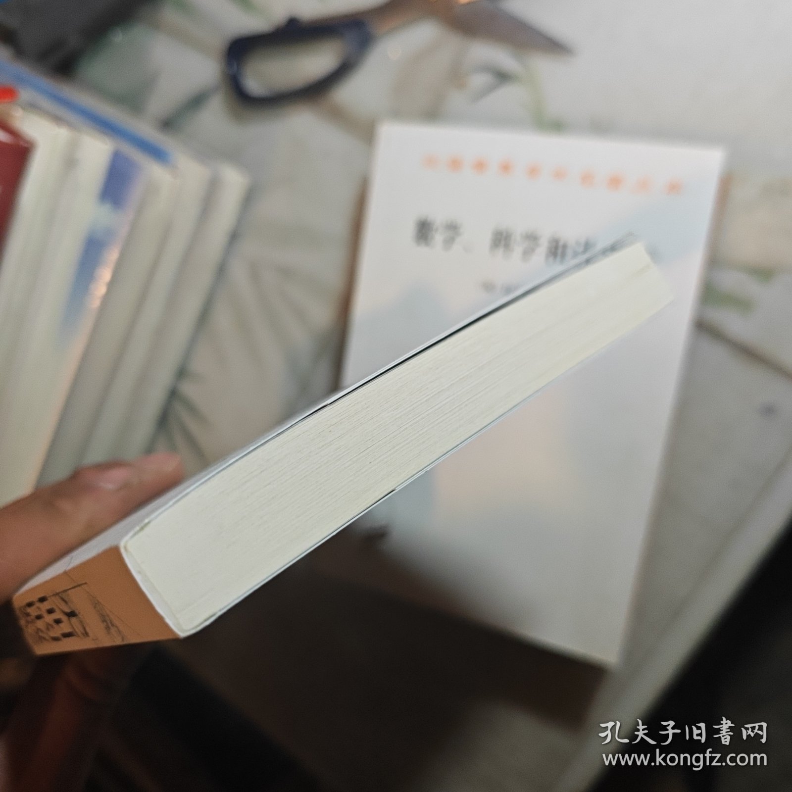 尖叫的数学-令人惊叹的数学之美（国际知名数学史专家，国际杂志《数学史》前主编翁贝托·博塔兹尼带你从数学的角度看世界）