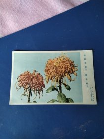 画片，金阙芙蓉，紫宸殿明信片