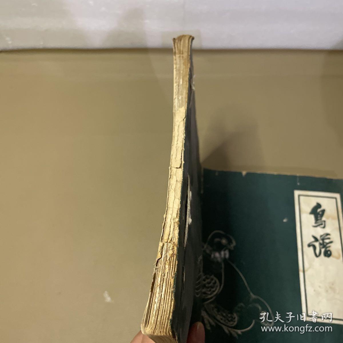 点击查看原图 鸟谱  【中央工艺美术学院图案训练班1960年 8开本】
