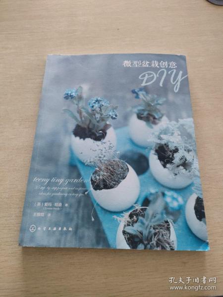 微型盆栽创意DIY