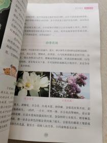 美丽桂林 神奇花坪