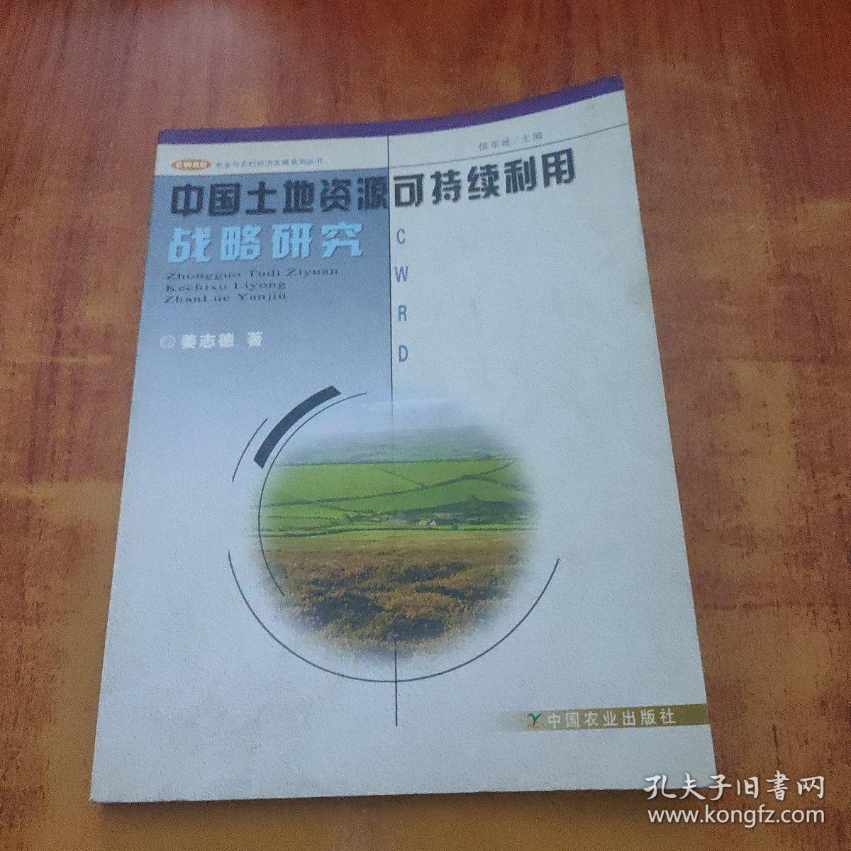 点击查看原图 中国中国土地资源可持续利用战略研究