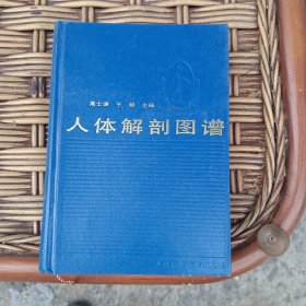 人体解剖图谱