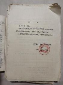 阜新市晶体管厂技术员袁炳贤个人工作学习及技术资料、日记本三本（包括化学笔记一本、硅低频高反压大功率半导体晶体管技术资料笔记一本、化学镀镍可控硅技术资料笔记一本）、工作学习总结一本（pmds方面）、小电流可控硅设计与实践、小电流晶闸管设计各一本、本人参加辽宁省半导体技术交流会材料一组（包含本人论文：采用电子辐照技术提高晶闸管质量）、辽宁省半导体技术交流会代表名单、辽宁省三型电视机协调会名单、通知三张