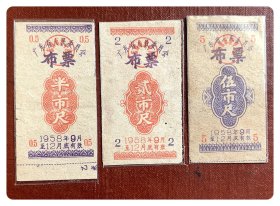 广东省人民委员会布票1958.9-12半市尺、贰市尺及伍市尺