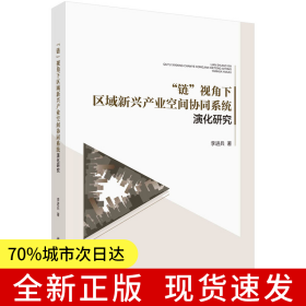 “鏈”視角下區(qū)域新興產(chǎn)業(yè)空間協(xié)同系統(tǒng)演化研究