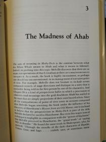 Democracy and the novel: Popular resistance to classic American Writers《民主与小说：大众对美国经典作家的抵制》