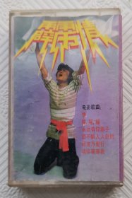 磁带：霹雳情《景岗山、印武建演唱》