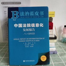 法治蓝皮书：中国法院信息化发展报告No.6（2022）