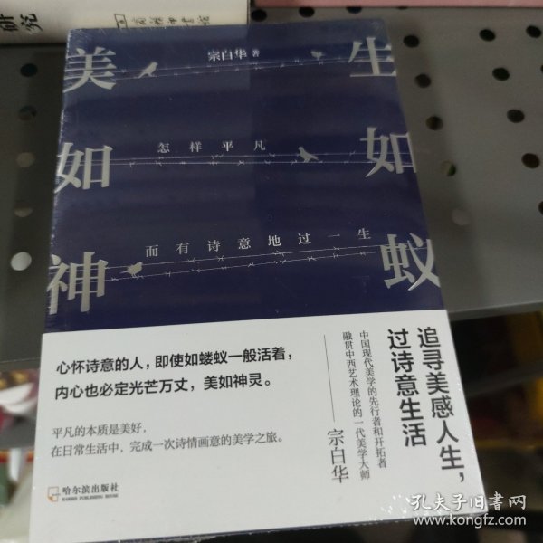 生如蚁，美如神: 怎样平凡而有诗意地过一生(美学大师宗白华美学经典)