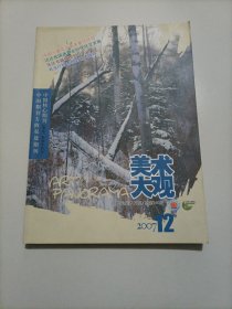 老杂志：美术大观（2007年第12期）【本店另有其分期转让，欢迎选购】