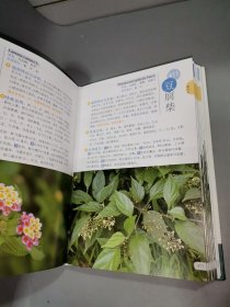 中草药实用图典