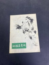 动物画资料