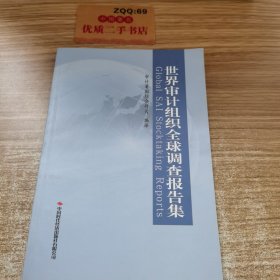 世界审计组织全球调查报告集