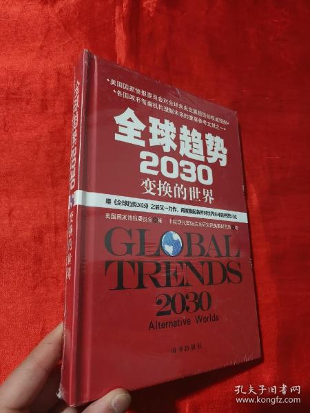 全球趋势2030：变幻的世界（精装）