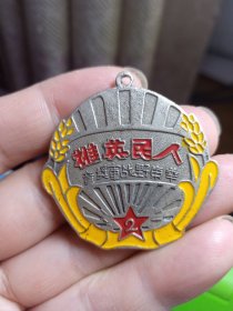 人民英雄 华东野战军奖章（非铁质，自鉴）