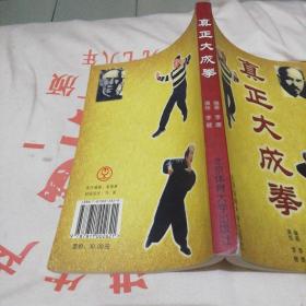 真正大成拳