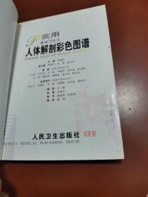 实用人体解剖彩色图谱（）