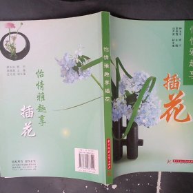 怡情雅趣享：插花