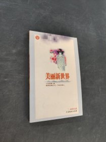 美丽新世界
