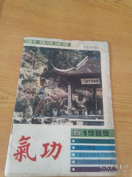 气功杂志1989.6