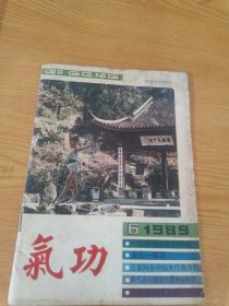 气功杂志1989.6