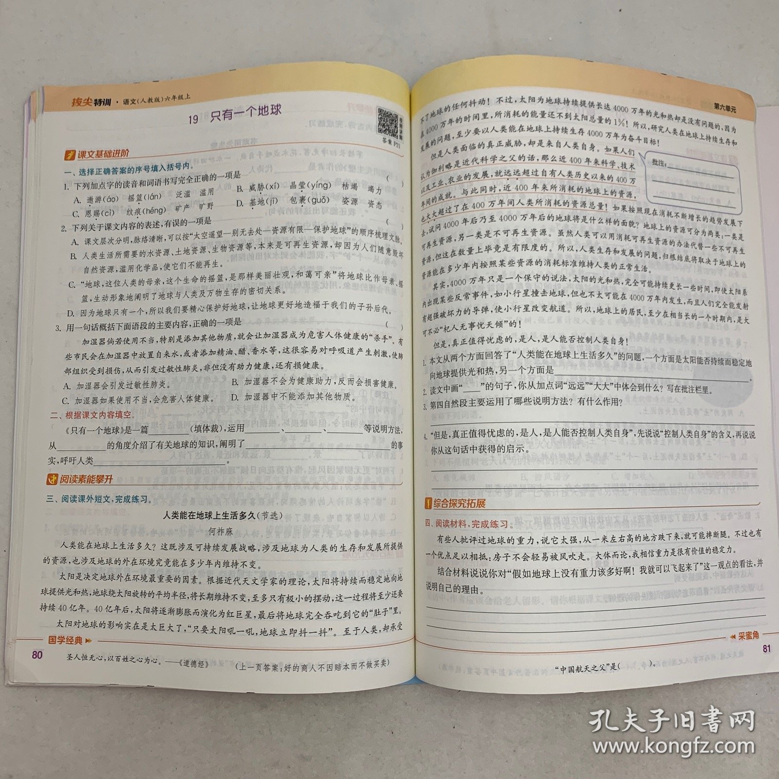 拔尖特训：语文（六年级上人教版）