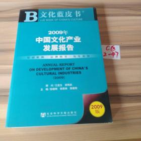 2009年中国文化产业发展报告