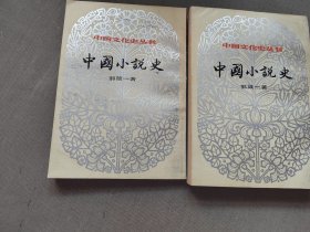 中国小说史，上下册