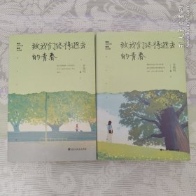 致我们终将逝去的青春.插图纪念版