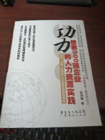 功力：世界500强企业的人力资源实践